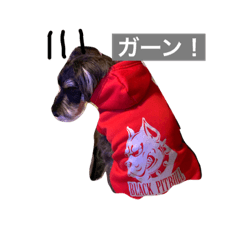 [LINEスタンプ] Laniちょん