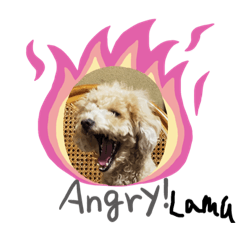[LINEスタンプ] 愛犬ラムのスタンプ