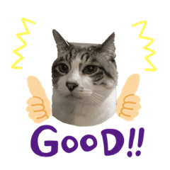 [LINEスタンプ] ねこだけに。
