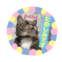 [LINEスタンプ] みる姐さんの敬語スタンプ♪
