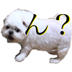 [LINEスタンプ] こーさんくろさん壱