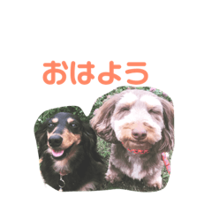 [LINEスタンプ] ムーニーの日常