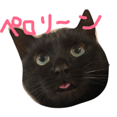 [LINEスタンプ] キクラゲと千代錦