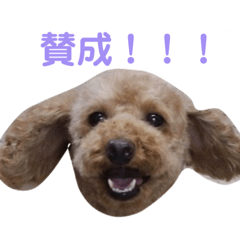 [LINEスタンプ] モコ日和2
