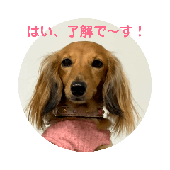 [LINEスタンプ] mtoh8rarara 