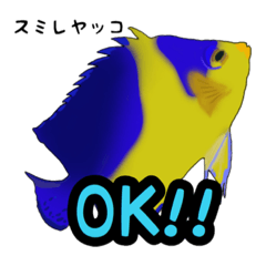 [LINEスタンプ] 小型ヤッココレクション