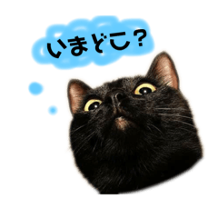 [LINEスタンプ] 鈴と太郎とさくら