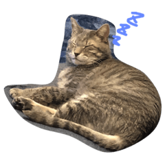 [LINEスタンプ] もんた 