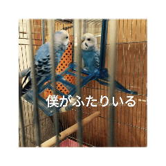 [LINEスタンプ] 吹雪丸の日常 