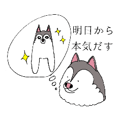[LINEスタンプ] 太っちょハスキー 