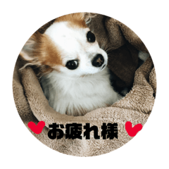 [LINEスタンプ] Tom＆Maro① 