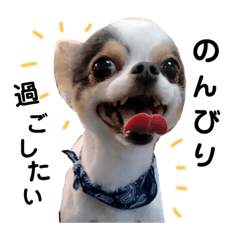 [LINEスタンプ] なつきのはるお2 
