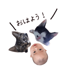 [LINEスタンプ] 猫と太郎