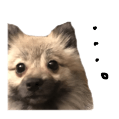 [LINEスタンプ] まめー！