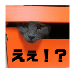 [LINEスタンプ] ろろのスタンプ2