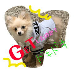 [LINEスタンプ] くぅちゃん2。