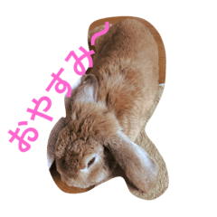 [LINEスタンプ] ろっぷいやーone