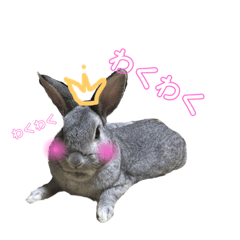 [LINEスタンプ] 山田ラビ太 
