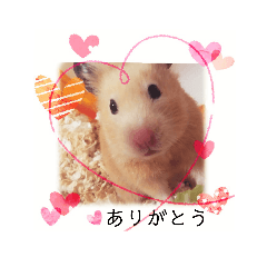 [LINEスタンプ] 谷口きなこ3rd.