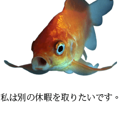 [LINEスタンプ] 金魚の愛金魚-5-日本語