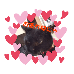 [LINEスタンプ] クロにゃー