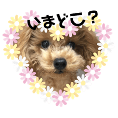 [LINEスタンプ] ＊毎日使える日常会話＊ 