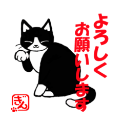 [LINEスタンプ] 猫背のぎんちゃん