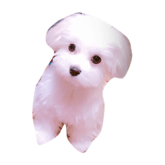 [LINEスタンプ] ポロロ