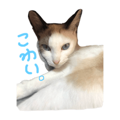 [LINEスタンプ] 山下と愉快な仲間たち。