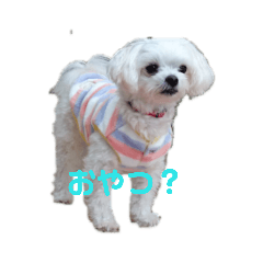 [LINEスタンプ] ふうおやつ