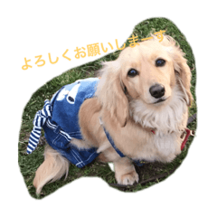 [LINEスタンプ] アルル＆ニーナ