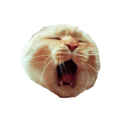 [LINEスタンプ] 猫まみれ(ハムスター入り) 