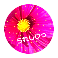 シンプル普段使いスタンプ