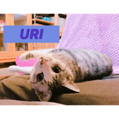 [LINEスタンプ] うりたろすたんぷ