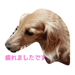 [LINEスタンプ] りんマロスタンプだよ
