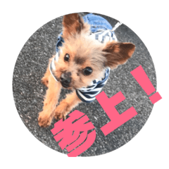 [LINEスタンプ] まろふぁみりー