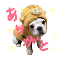 [LINEスタンプ] フレンチブルドッグのふくちゃん