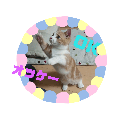 [LINEスタンプ] ラテくんスタンプ❤️