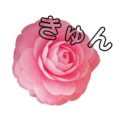 [LINEスタンプ] 真面目なお花のスタンプ