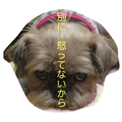 [LINEスタンプ] にょんの仲間たち