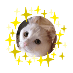 [LINEスタンプ] うな〜んの1