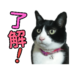 [LINEスタンプ] にんにんと仲間たち2
