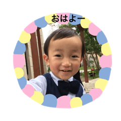 [LINEスタンプ] かわいいコタちゃんのスタンプ