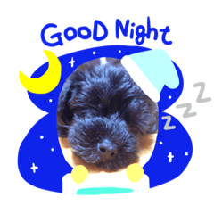 [LINEスタンプ] キュートな『てんくん』