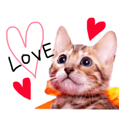 [LINEスタンプ] ポポ・ビルススタンプ