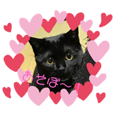 [LINEスタンプ] 黒猫のジュビア