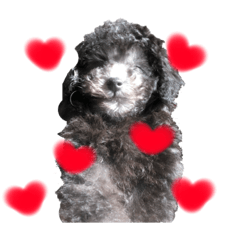 [LINEスタンプ] えいたくんのスタンプ♡