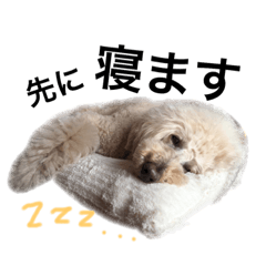 [LINEスタンプ] 今日のひまこも②