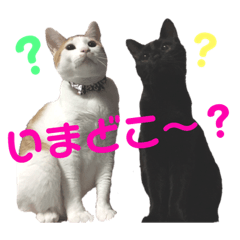 [LINEスタンプ] うにともずくの日常