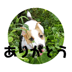 [LINEスタンプ] しきスタンプ4